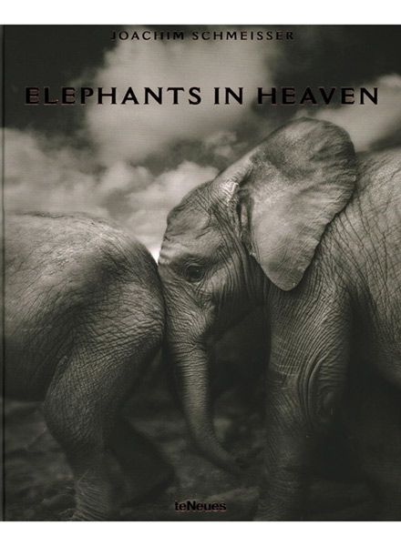 Elephants-in-Heavan