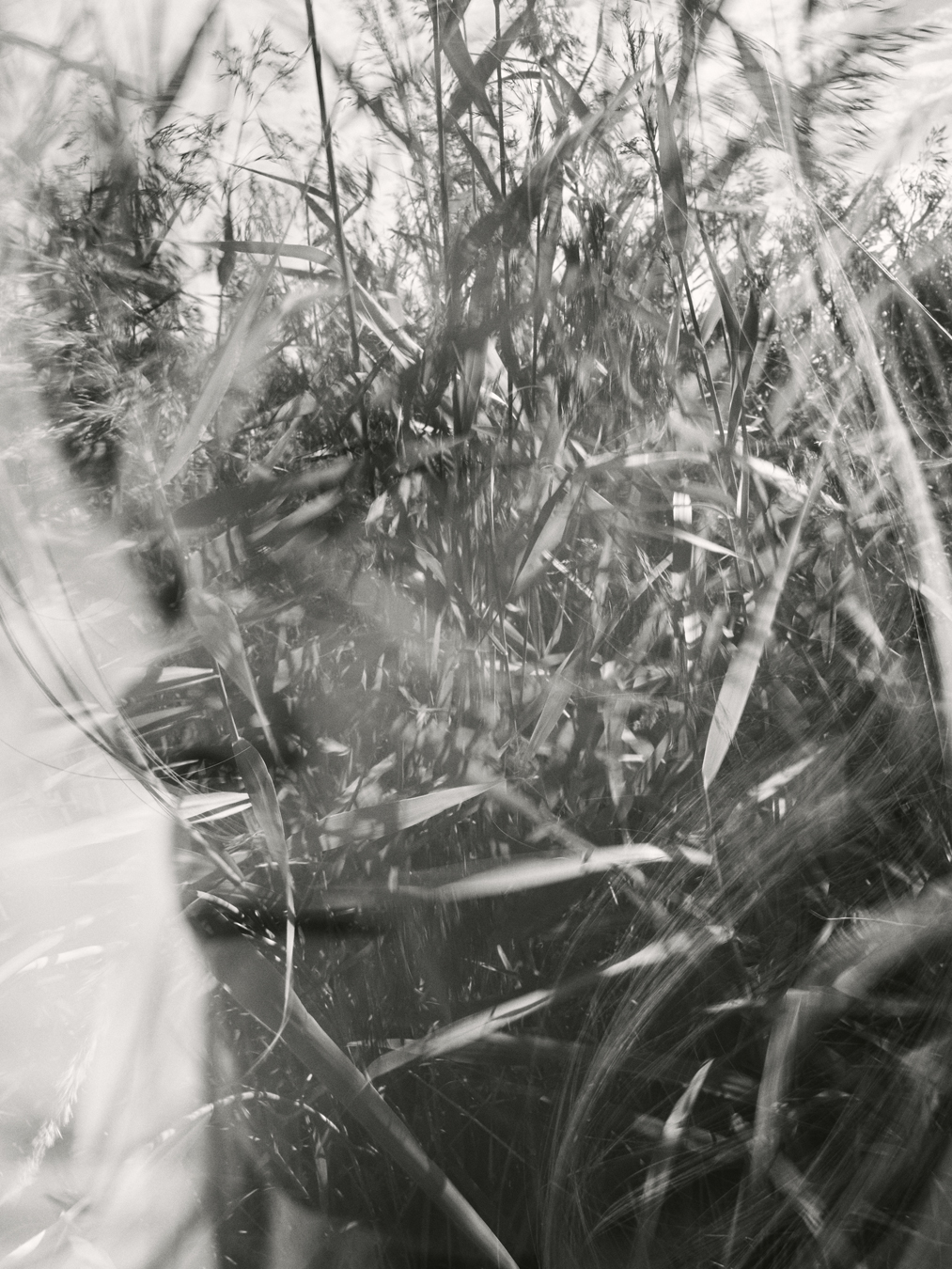 Christoffer Relander Sample 1