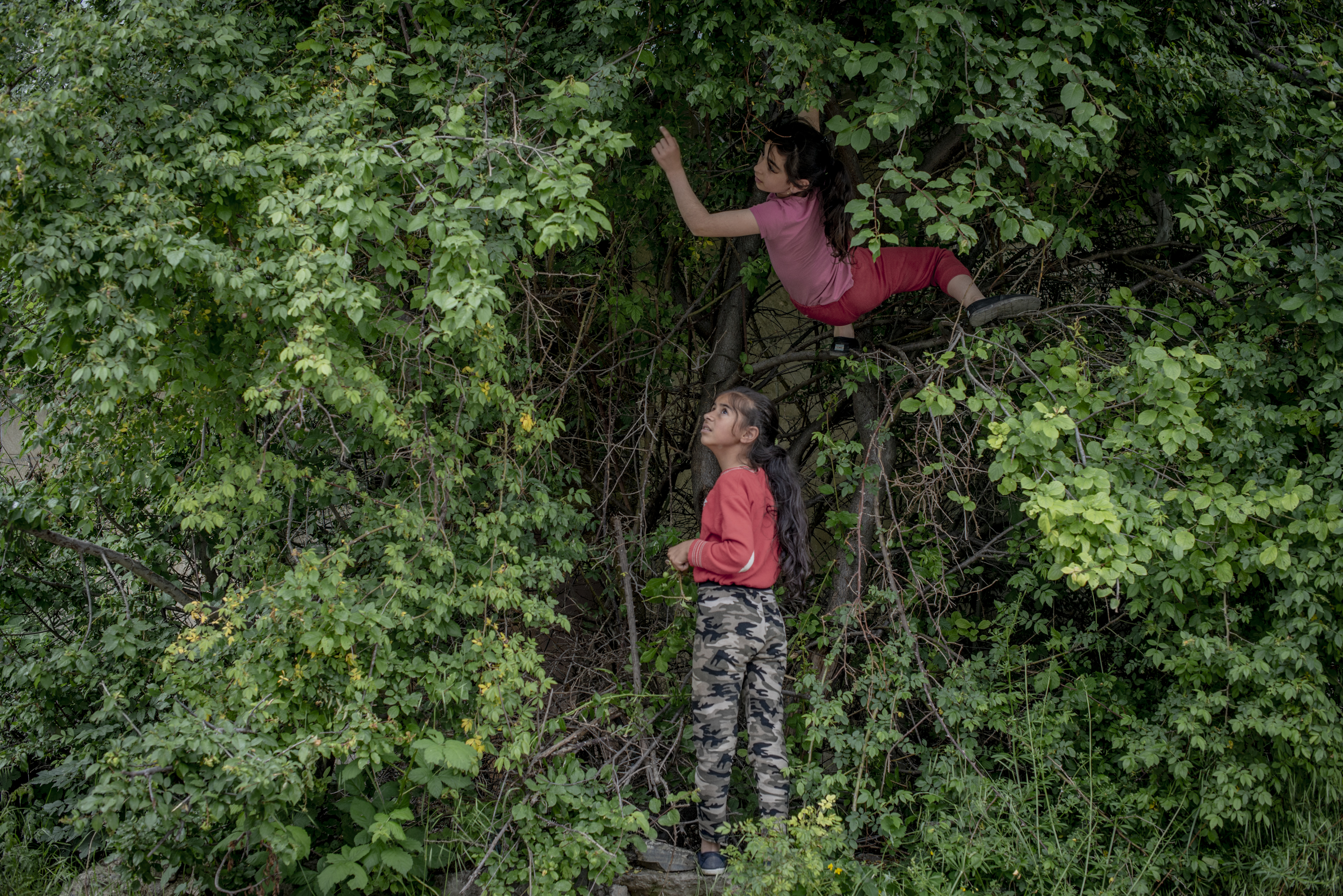 Anjelika Ayaryan, 10, stands under a tree as her friend Tatevik picks berries in Shushi, Nagorno-Karabakh, on June 3, 2017.