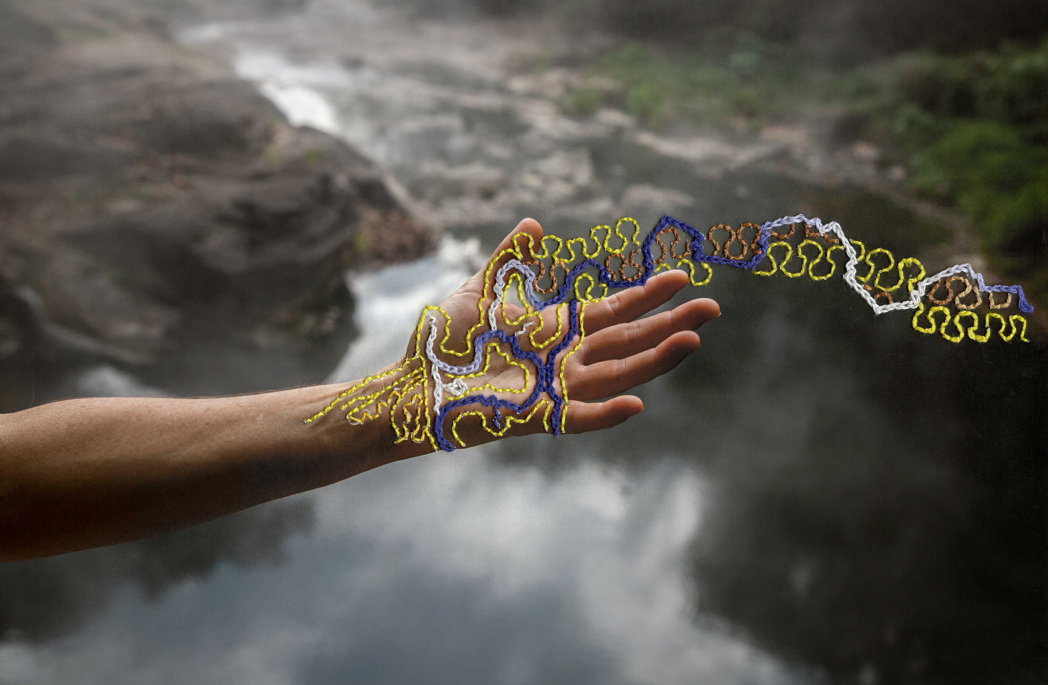 Petition to the Plant Spirits,
From Portraits of the Multiverse, a collaboration with Sadith Silvano
