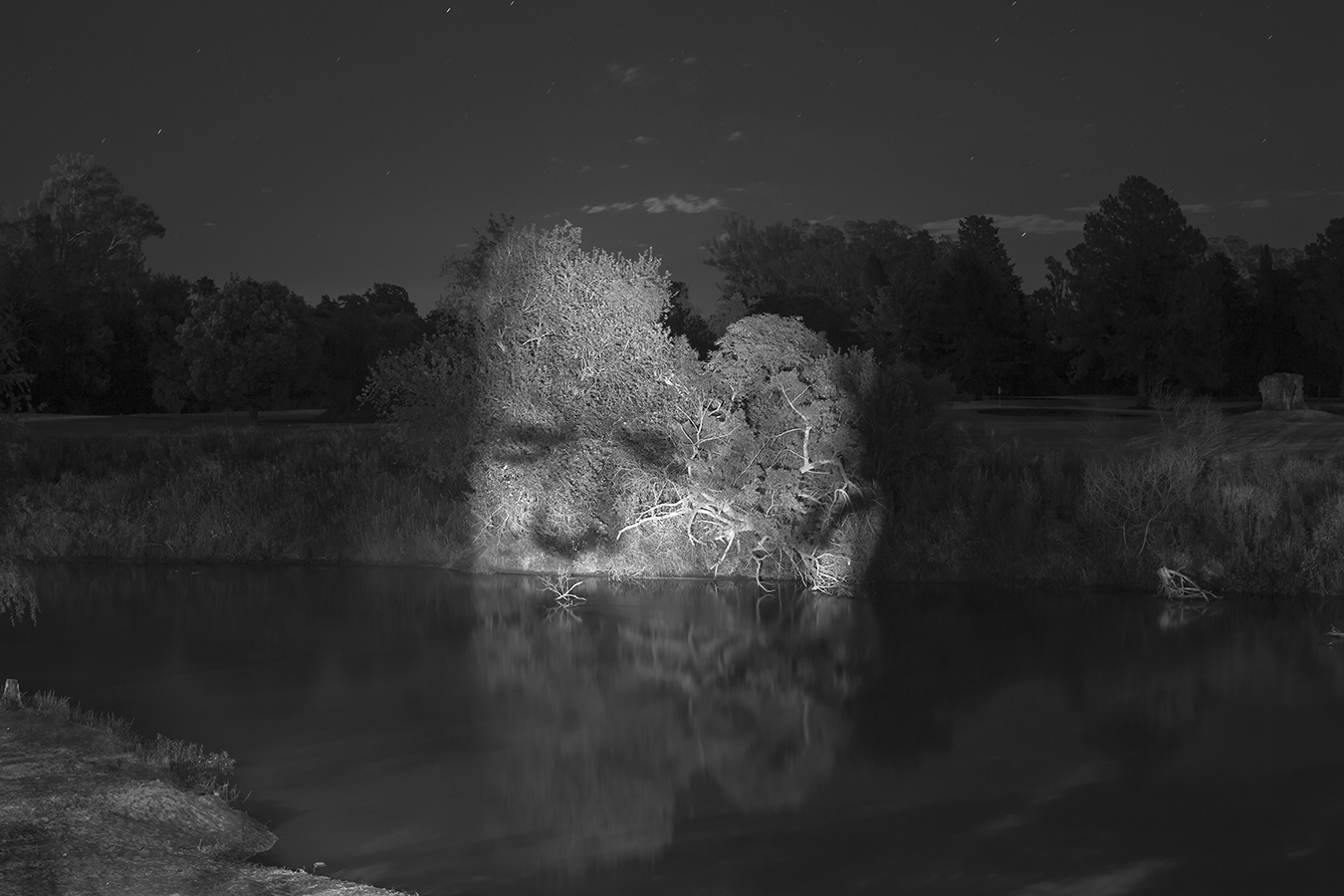 Gabriel Orge Sample 1
