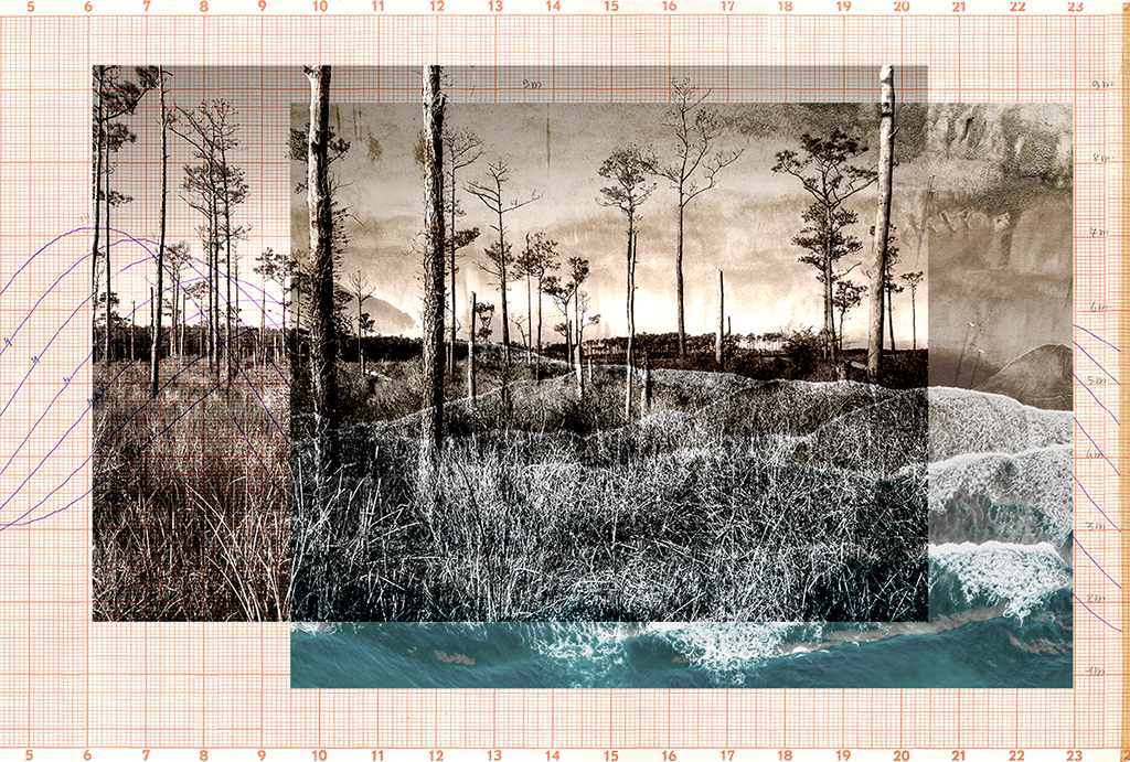 Margaret Lejeune Sample 1