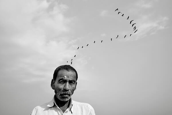 Vineet Vohra Sample of work
