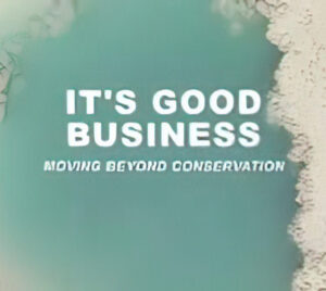 It's Good Business: Moving Beyond Conservation